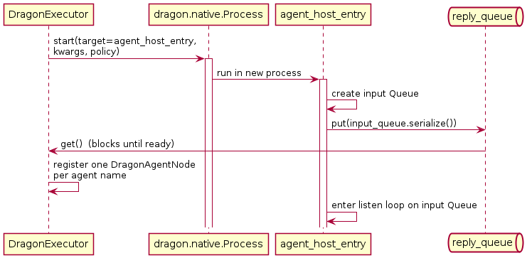 @startuml
skinparam shadowing false
participant "DragonExecutor" as E
participant "dragon.native.Process" as P
participant "agent_host_entry" as H
queue "reply_queue" as R

E -> P : start(target=agent_host_entry,\nkwargs, policy)
activate P
P -> H : run in new process
activate H
H -> H : create input Queue
H -> R : put(input_queue.serialize())
R -> E : get()  (blocks until ready)
E -> E : register one DragonAgentNode\nper agent name
H -> H : enter listen loop on input Queue
@enduml